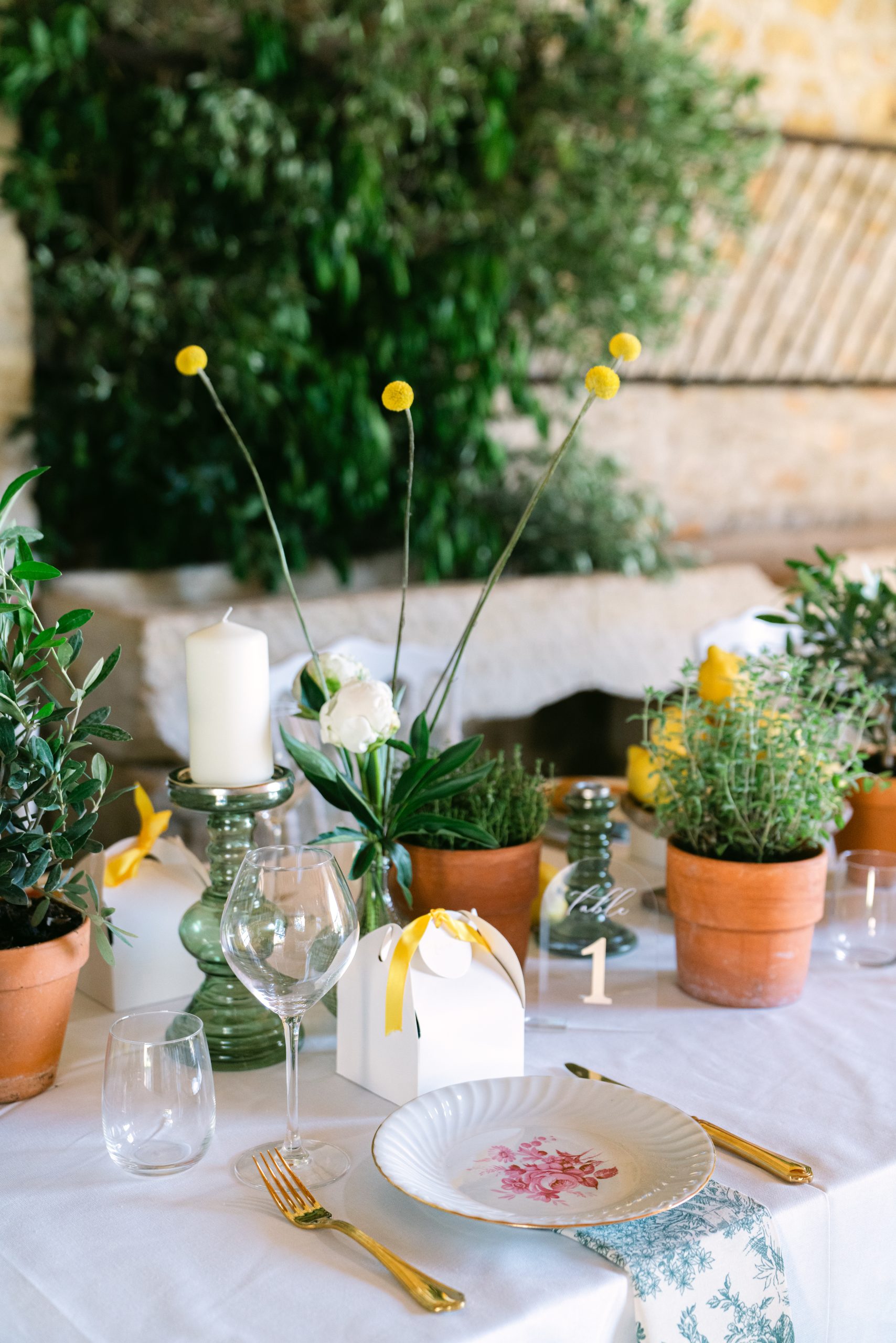 juliehellyphotographie-masdicard-20